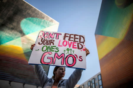 FILE PHOTO: A woman holds a sign during one of many worldwide "March Against Monsanto" protests against Genetically Modified Organisms (GMOs) and agro-chemicals, in Los Angeles, California October 12, 2013. REUTERS/Lucy Nicholson/File Photo