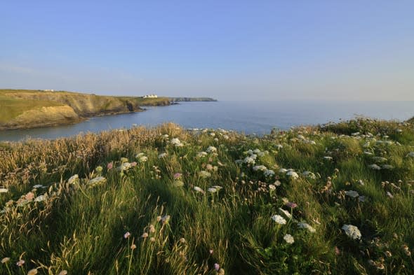 Gunwalloe