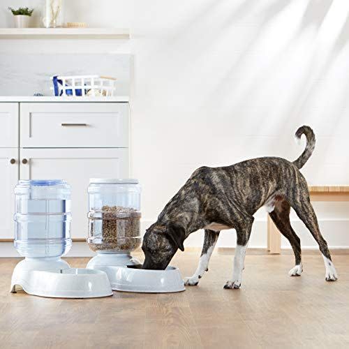 8) Amazon Basics Gravity Pet Food Feeder and Water Dispenser