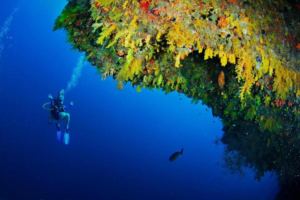 Diving on the Golden Wall House Reef (Anantara Kihavah)