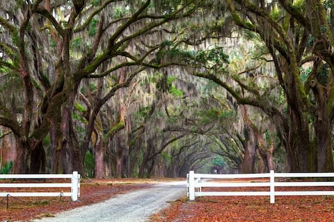 Savannah: a dazzling showcase of Southern charm - Credit: getty