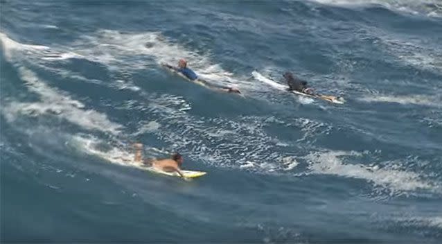 Rescue team scours the water for the menacing animal. Picture: FreeNewsAu