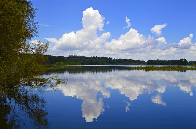 <p>Lake City, Florida's Springlands</p>