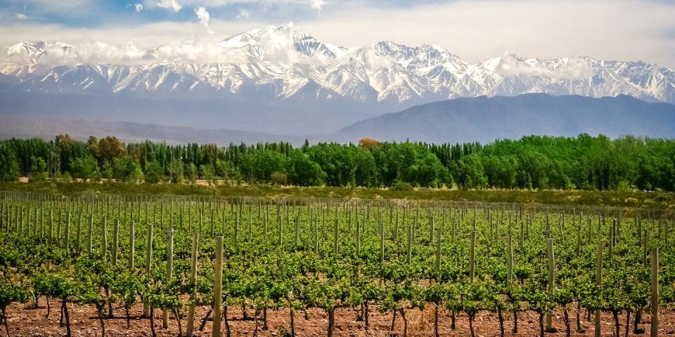 Mendoza — Argentina