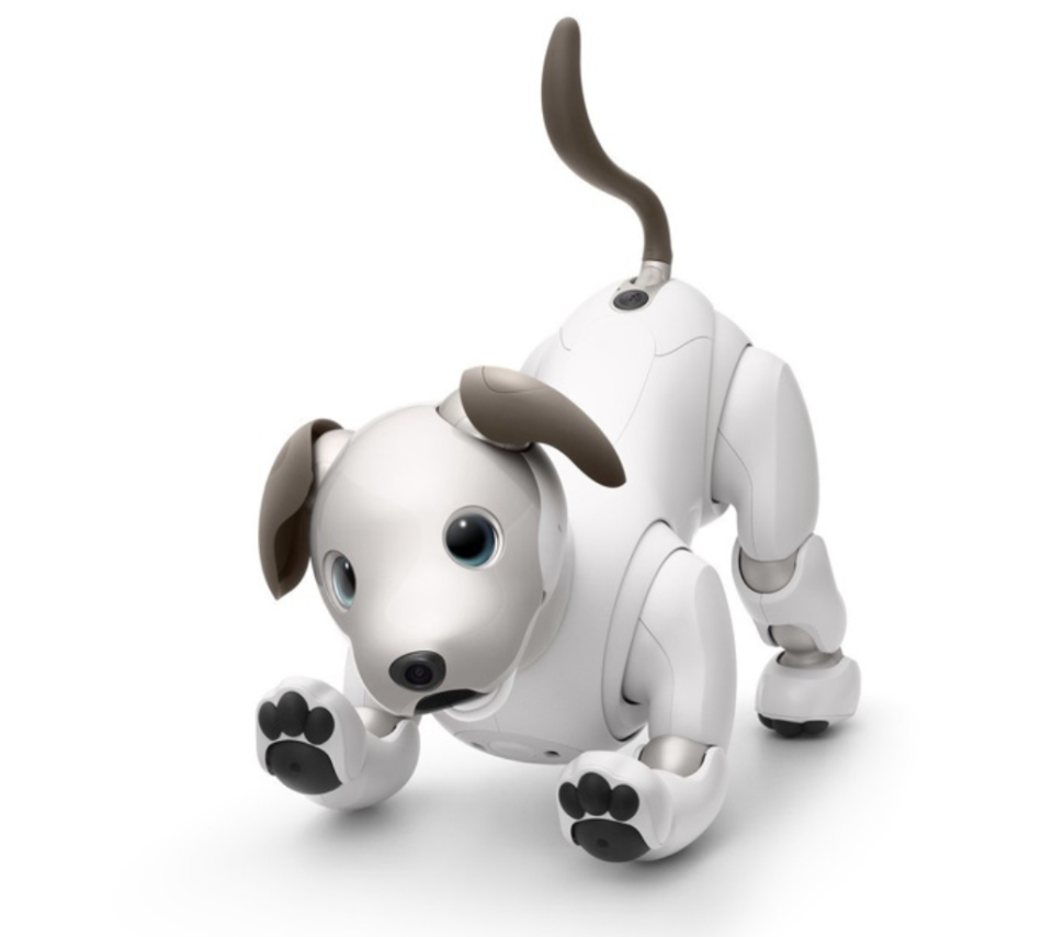 <p>Aibo è il cane robot prodotto da Sony. Dotato di intelligenza artificiale applicata alla meccatronica e di un sistema di apprendimento automatico (machine learning), questo amico a quattro zampe è in grado di interagire con l’uomo e simulare i comportamenti di un animale domestico in carne e ossa. Alto 30 cm, con un peso di 2,2 kg e dotato di 22 punti di articolazione che gli permettono di muoversi in maniera snodata, ha una videocamera principale posizionata sul naso. Prezzo: 2899,99 dollari su aibo.com </p>