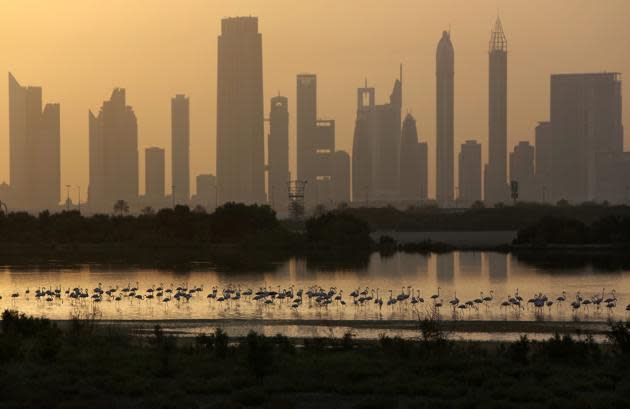 1º país con vuelos más caros – coste promedio de Emiratos Árabes Unidos por 100 km: 105,71 dólares (AP Photo/Kamran Jebreili)