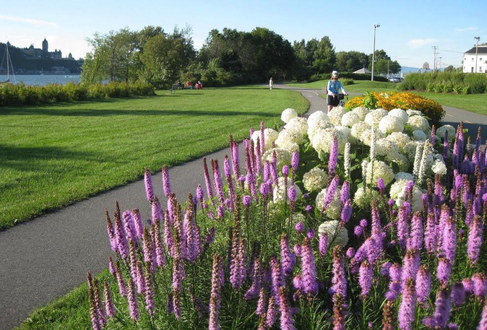 In this photo taken Aug. 17, 2013, a cyclist pauses along the St. Lawrence River across from Quebec City on an off-road trail in Levis. The trail offers a dedicated lane for walkers and two lanes for cyclists, and is part of the Route Verte bicycle network. (AP Photo/Calvin Woodward)