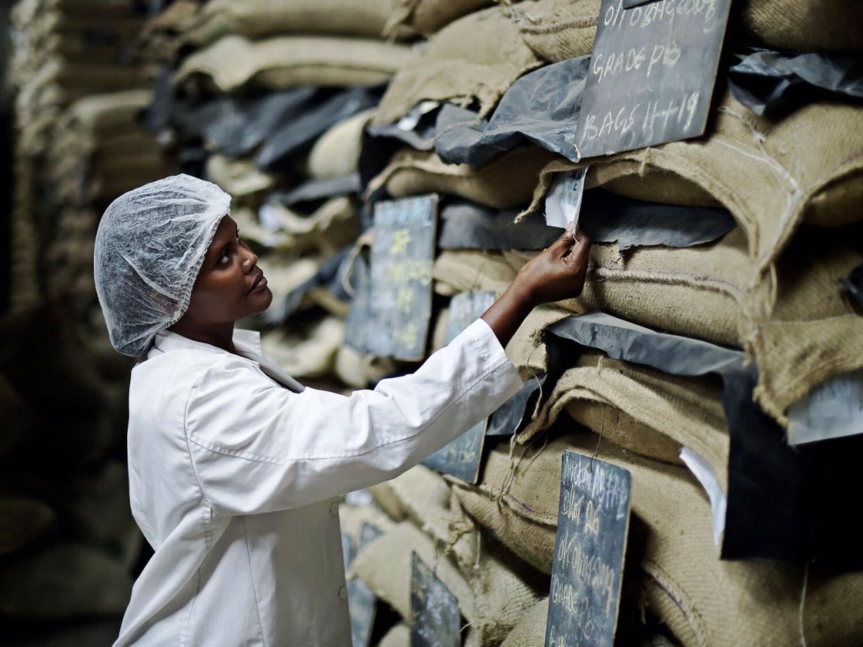 africa's economy coffee impacts