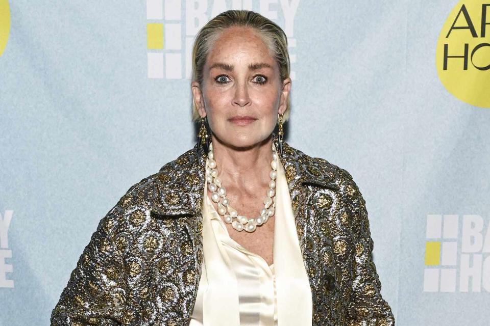 <p>Daniel Zuchnik/Getty Images for Housing Works</p> Sharon Stone on June 14, 2023