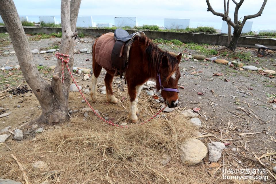 花蓮景點｜Pony cafe咖啡廳