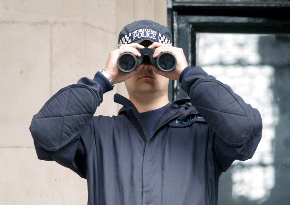 A Met Police officer on security duty: Rex