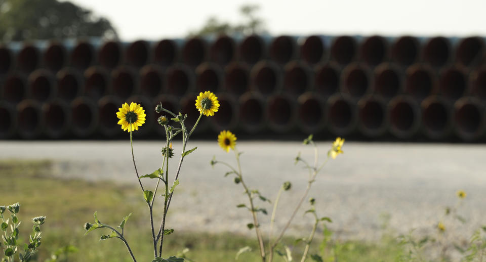 Pipes for a proposed new natural gas pipeline that would pass through the Texas Hill Country are staged near Blanco, Texas Friday, Aug. 2, 2019. A proposed pipeline is a 430-mile, $2 billion natural gas expressway that pipeline giant Kinder Morgan has mapped from the booming West Texas oil patch to Houston. (AP Photo/Eric Gay)