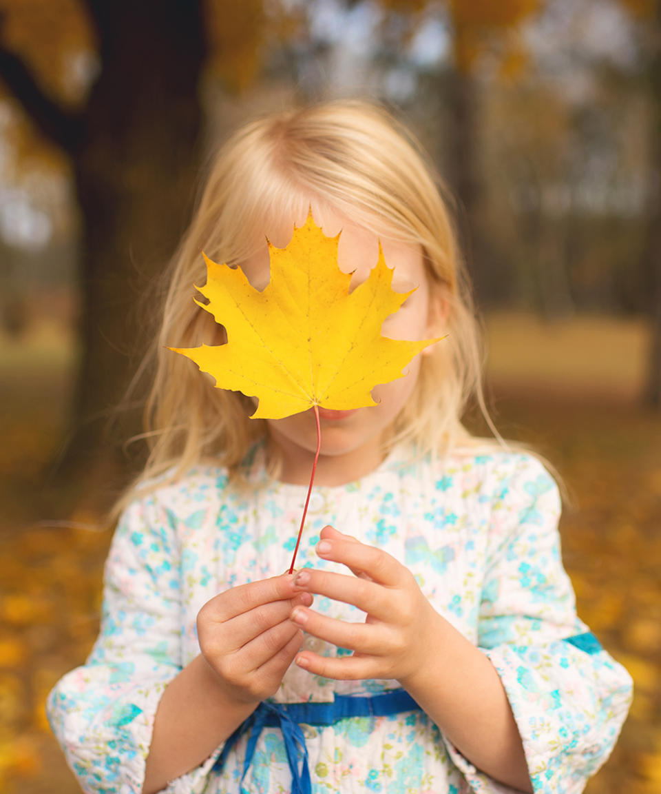 Allowing your child to find the biggest leaf she can, then hide her face behind it is one of Wilkerson's suggestions for interesting leaf pile photos. (Clickin Moms/Amy Lockheart)