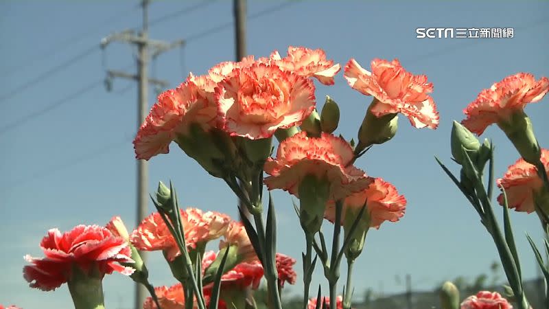 先生只希望，孩子能和媽媽一起度過母親節。