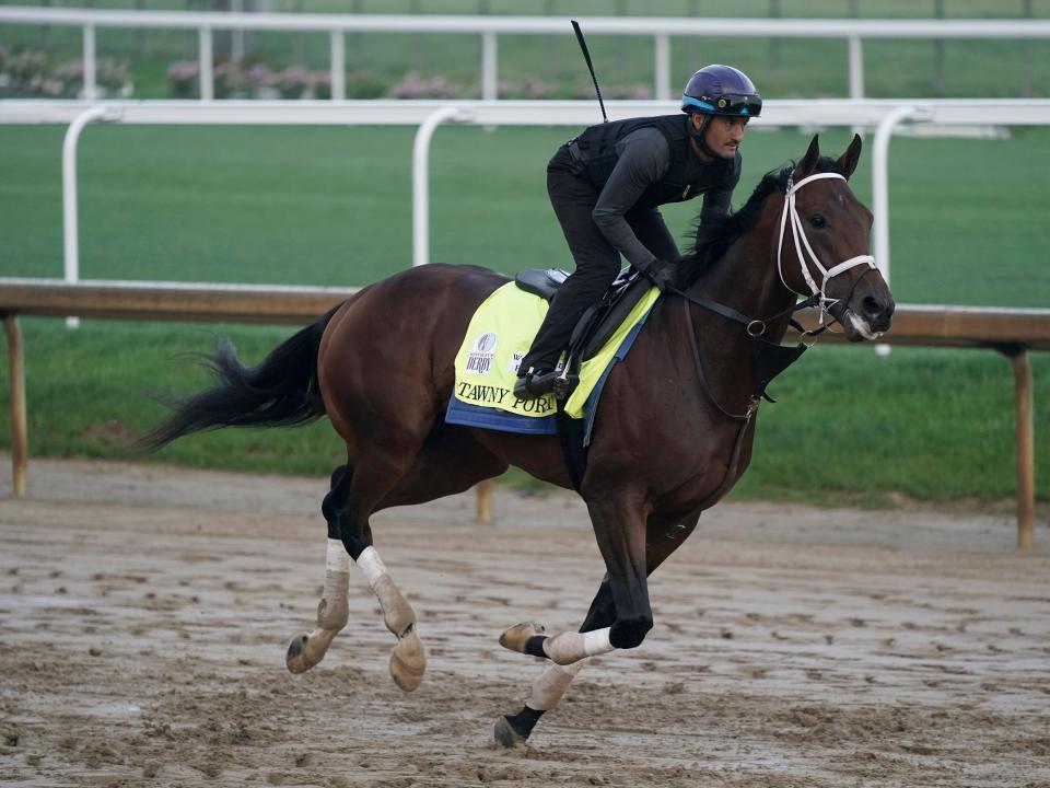 Kentucky Derby entrant Tawny Port works out at Churchill Downs.