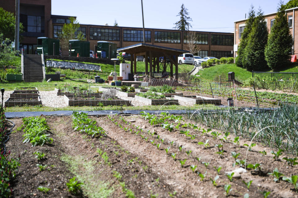 The Southside Community Farm has served the historically Black Asheville neighborhood of Southside since 2014.