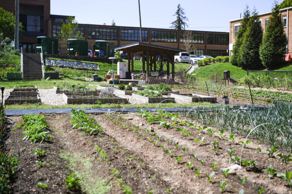 The Southside Community Farm services the historically Black Asheville neighborhood of Southside.