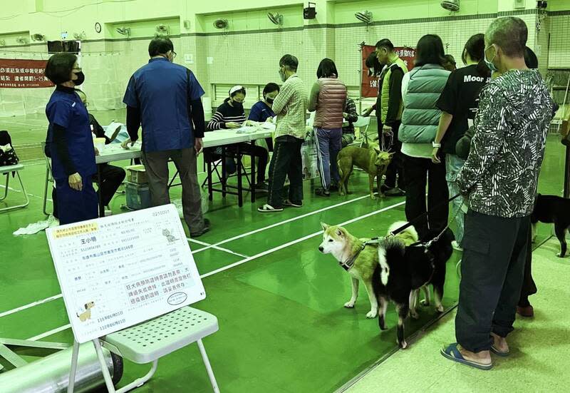 高市偏鄉巡迴犬貓絕育列車啟動 高雄市動物保護處10日舉辦偏鄉巡迴犬貓絕育三合一 活動，首站到大樹區，提供犬貓絕育、狂犬病疫苗及 晶片施打等服務。 （高雄市動保處提供） 中央社記者蔡孟妤傳真  113年3月10日 