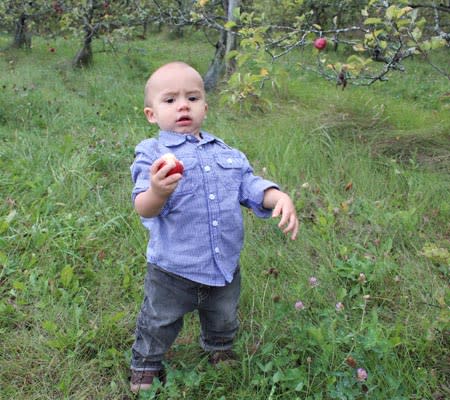 Photo by: Nadia Carriere<br><br><b>Wide open spaces</b> <br> There is plenty of soft grass and wide open space for older babies to practice their walking skills. Just make sure you are close by for little "whoopsies."