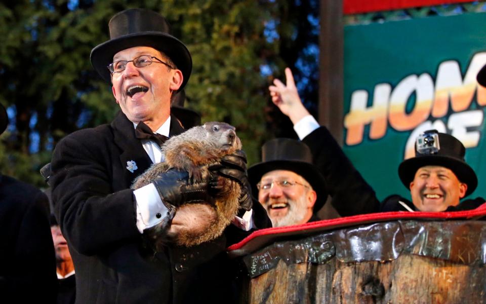 Groundhog Club handler Ron Ploucha, holds Punxsutawney Phil, the weather prognosticating groundhog - AP