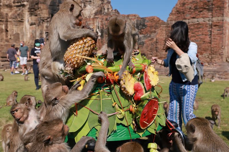 Annual Monkey Festival resumes in Thailand's Lopburi province