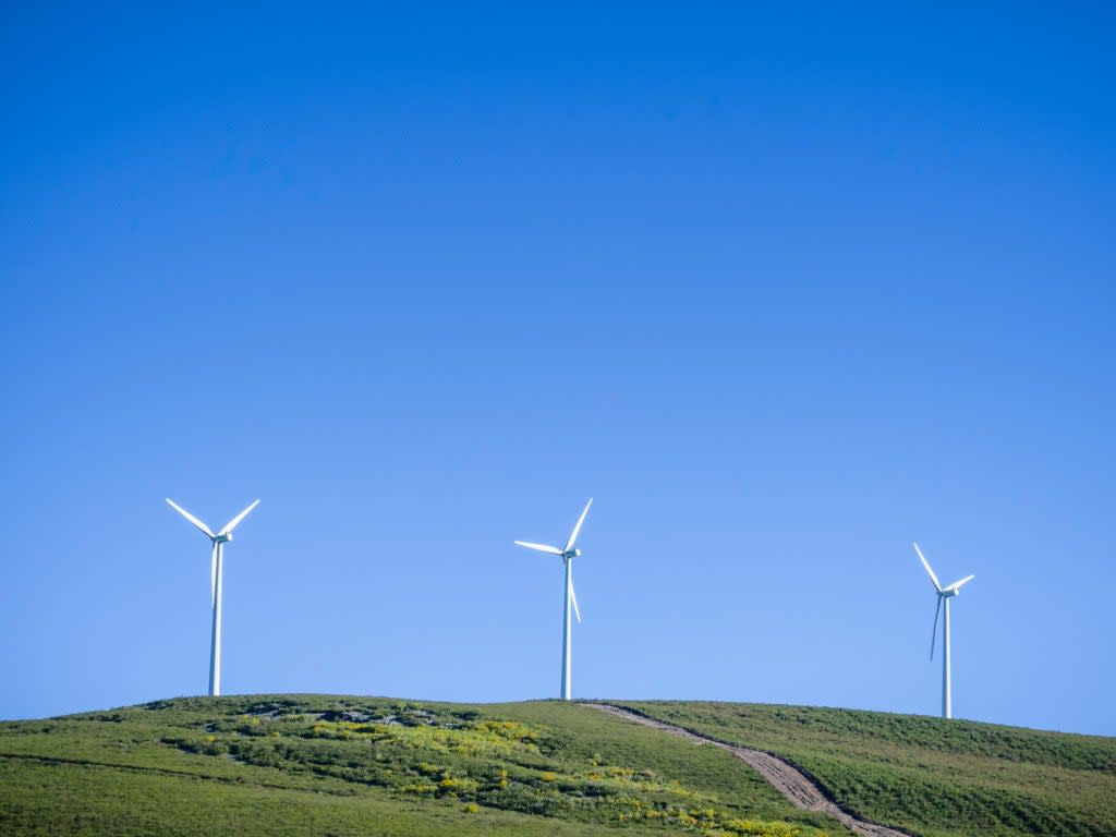 Subsidies for onshore wind farms were banned for a number of years (Getty/iStock)