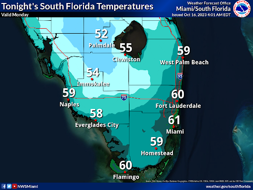 Low temperatures across South Florida are forecast to range from the low 50s to around 60 degrees.