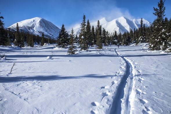 Tracks on Windy Creek