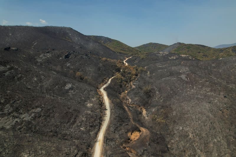 Wildfire still rages on the region of Evros