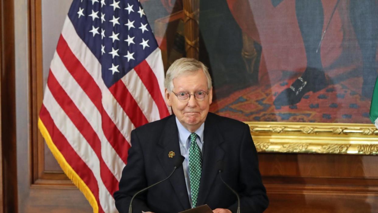 Der republikanische Mehrheitsführer Mitch McConnel.