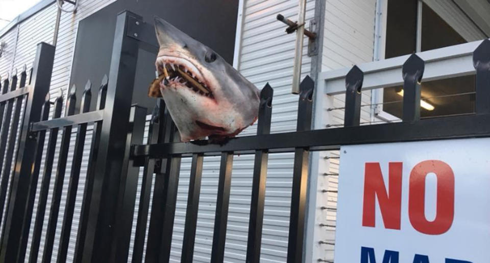 Volunteers arrived on Sunday to this confronting sight. Source: Marine Rescue Shellharbour/ Facebook