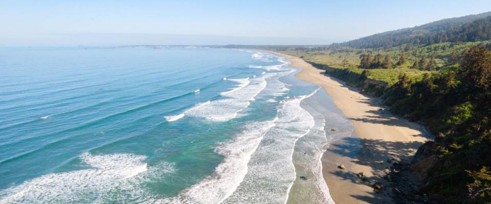 Beach at Redwood National Park, California