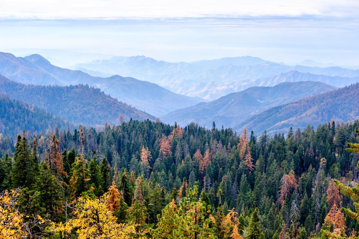 Sequoia National Park mountain scenic landscape at autumn. California, United States.