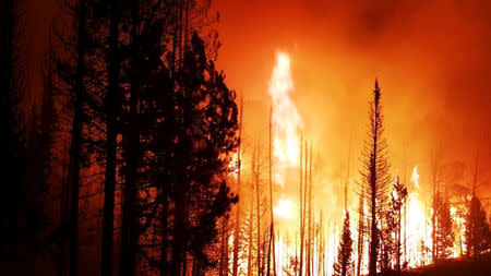 Smoke rises from a wildfire as seen from Bondurant, Wyoming, United States in this September 22, 2018 photo by Bryce Harvey. Bryce Harvey/Social Media/via REUTERS