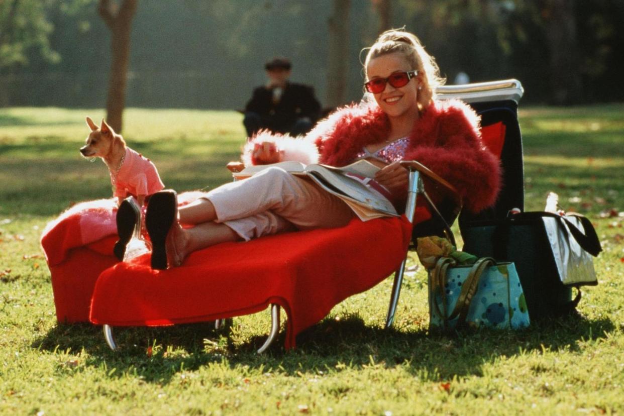 Reese Witherspoon and Moonie in 'Legally Blonde', 2001: Rex Features