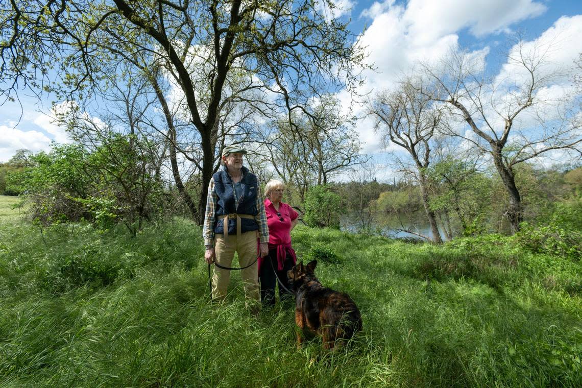 William Avery stands on the bank of the American River that will be impacted from flood control work last month. He is trying to preserve habitat on the American River Parkway that will be impacted by flood control work.