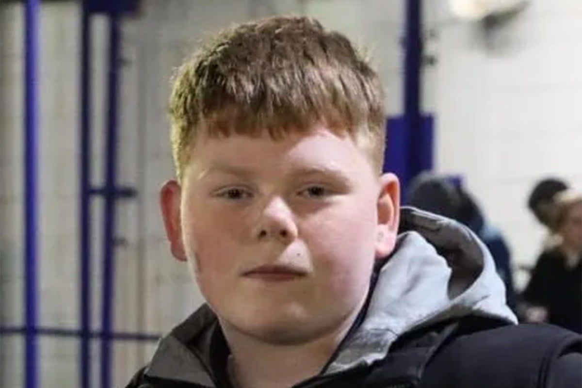 Alfie Lewis, aged 15, died when he was attacked by another boy while on his way home from school  (West Yorkshire Police)