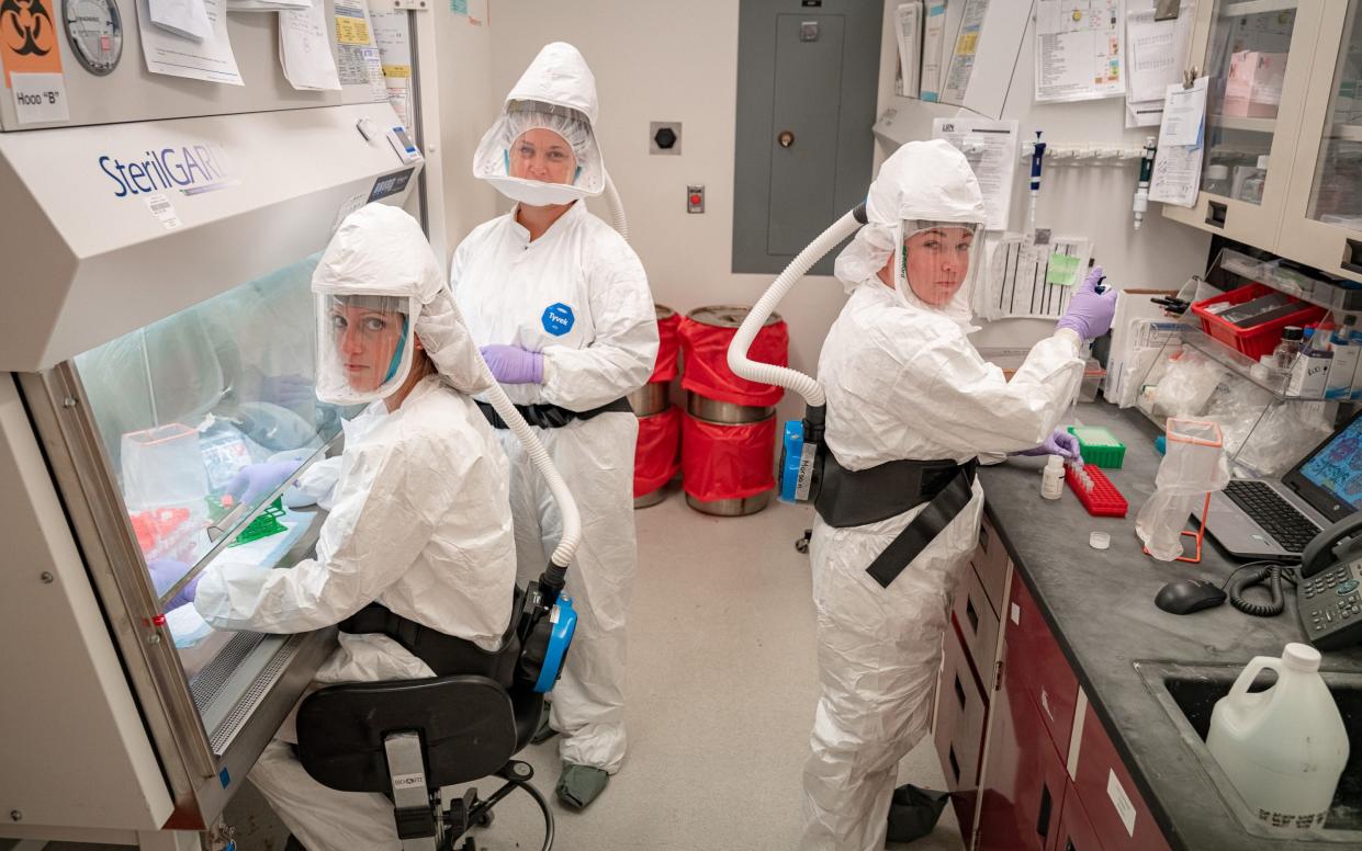 Scientists testing samples for polio at the Wadsworth Centre in New York - MIKE WREN/NEW YORK STATE DEPARTMENT OF HEALTH 