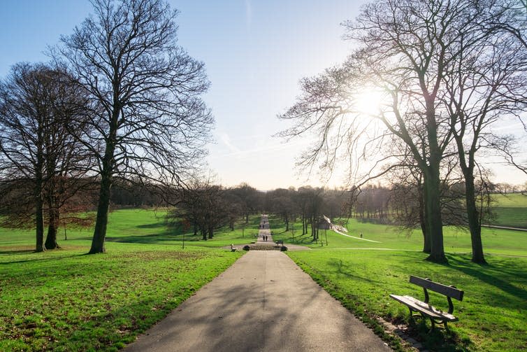 <span class="caption">Roundhay Park in Leeds: not a flower in sight.</span> <span class="attribution"><a class="link " href="https://www.shutterstock.com/image-photo/roundhay-park-leeds-united-kingdom-one-667029121?src=eWiXduS9tQqHs71HDCUZyw-1-22" rel="nofollow noopener" target="_blank" data-ylk="slk:Shutterstock.;elm:context_link;itc:0;sec:content-canvas">Shutterstock.</a></span>