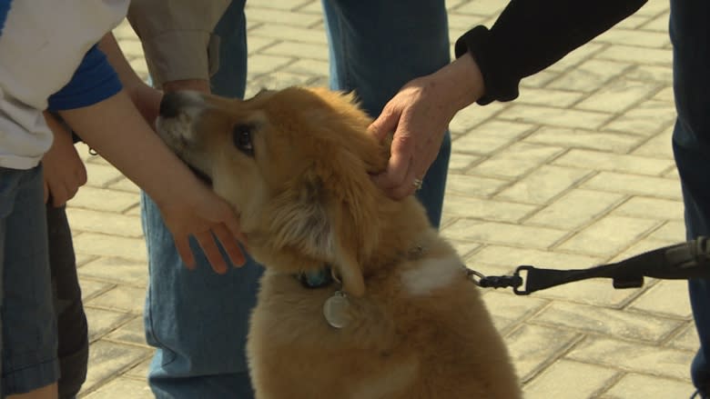 Better late than never: Winnipeggers hit parks, patios and links as temps finally hit double digits