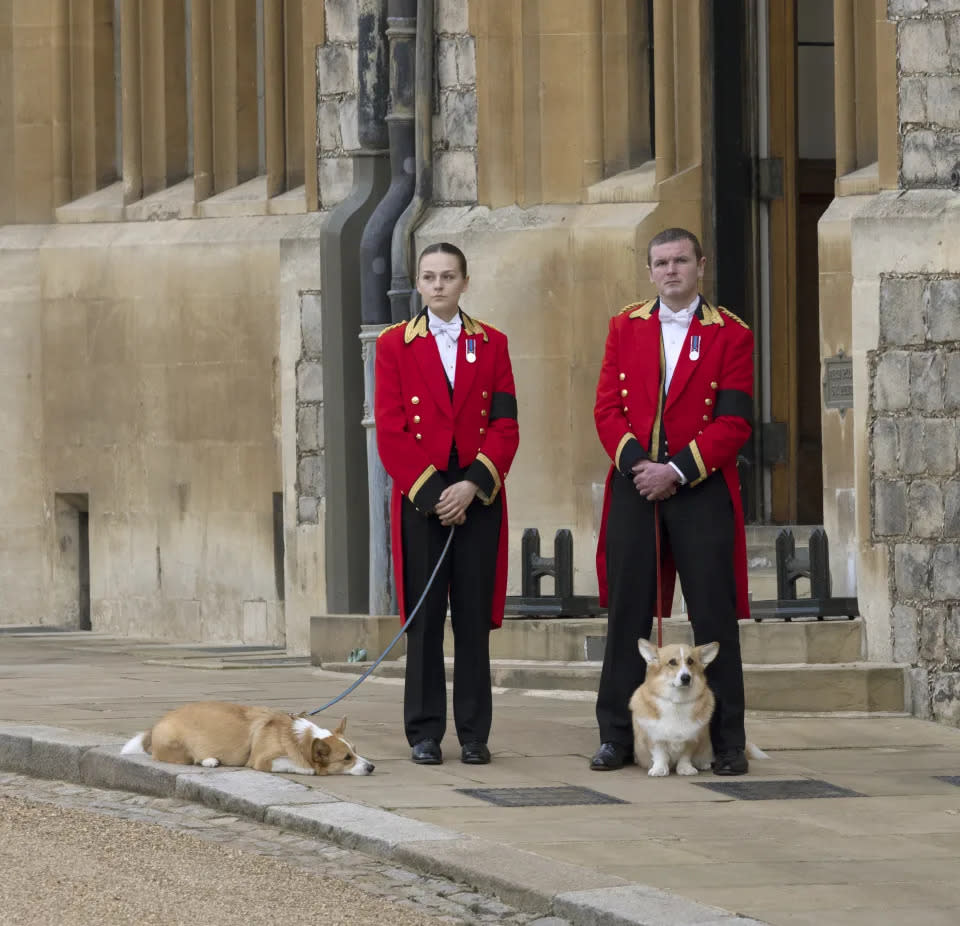 Ehemaliger Hundetrainer sagt, Queen war „mit Leib und Seele“ Corgi-Besitzerin, die Porzellan- und Silberschalen verwendete