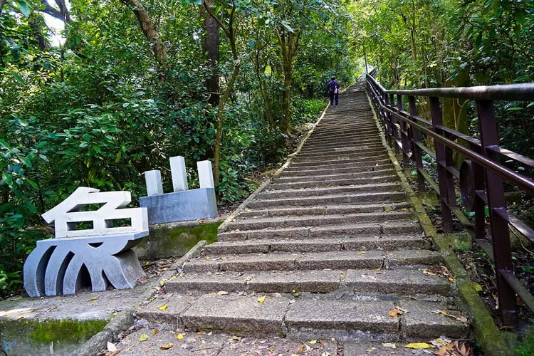 象山親山步道。觀傳局提供