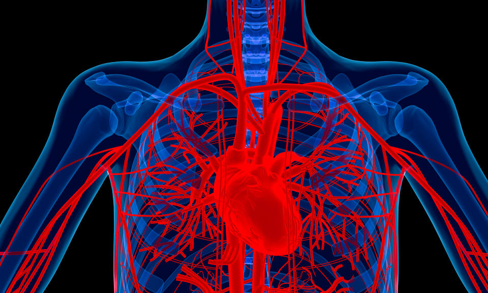 大動脈部份可以接駁人工血管，但如果涉及附近一些微細的血管，就不可能進行修補手術。