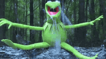 Kermit being doused in ice water