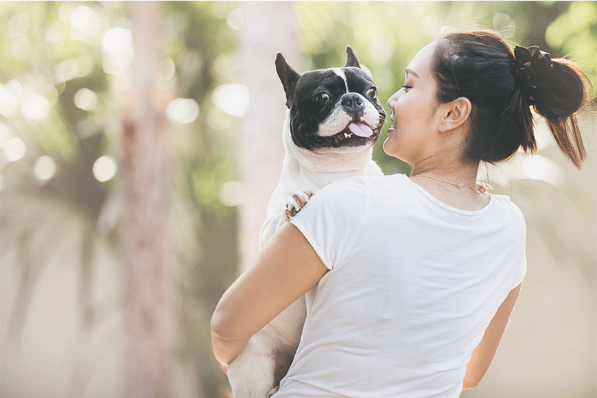 Don't try to train your dog when you are stressed or tired. You will be unlikely to make much progress as your dog can sense your frustration.