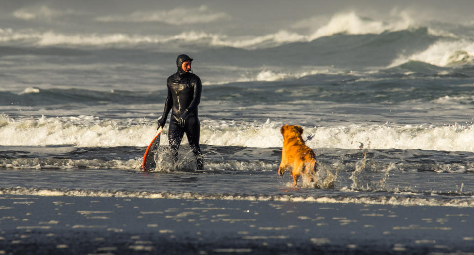 “He’ll be watching the surfers coming out of the water and when he realises it’s me, he comes sprinting up to me… he just goes nuts.” Source: Lissa Reyden / Lissa Photography