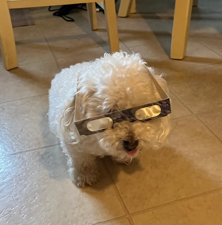 Eclipse watching on April 8 (Courtesy: Sandra Bocksnick)