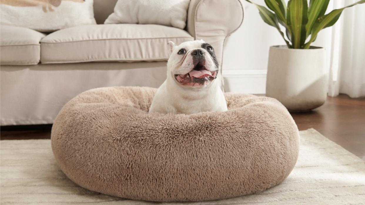 bedsure calming dog bed for small dogs