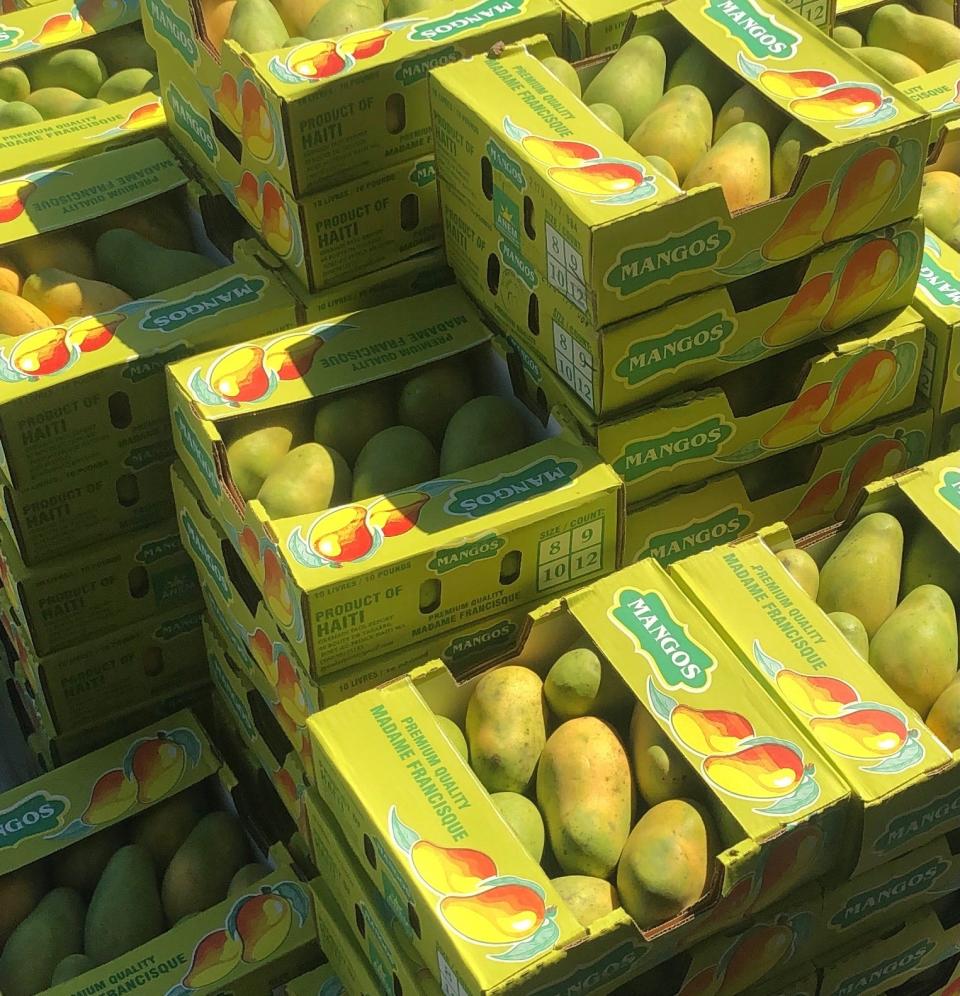 Madame Francisque mangos, after USDA inspections, are ready for customer's to purchase on July 2, 2020.