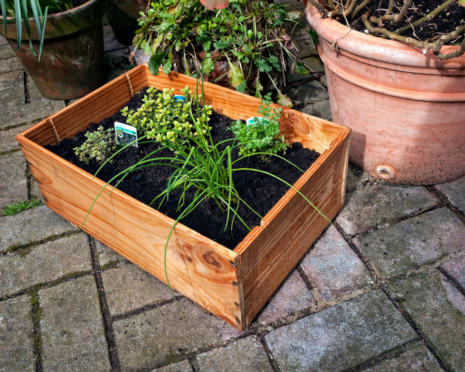 10. TURN A WINE BOX INTO A PLANTER